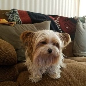 Meet your Posher, Socorro